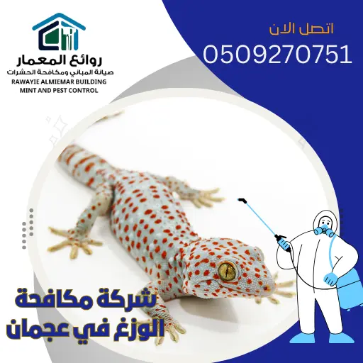 شركة مكافحة الوزغ في عجمان 🦎 | 0509270751 | روائع المعمار شركة مكافحة الوزغ في عجمان 🦎 | 0509270751 | روائع المعمار
