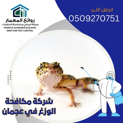 شركة مكافحة الوزغ في عجمان 🦎 | 0509270751 | روائع المعمار شركة مكافحة الوزغ في عجمان 🦎 | 0509270751 | روائع المعمار